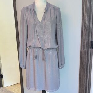 WHBM Gray Sparkle Chiffon Dress Sz 10